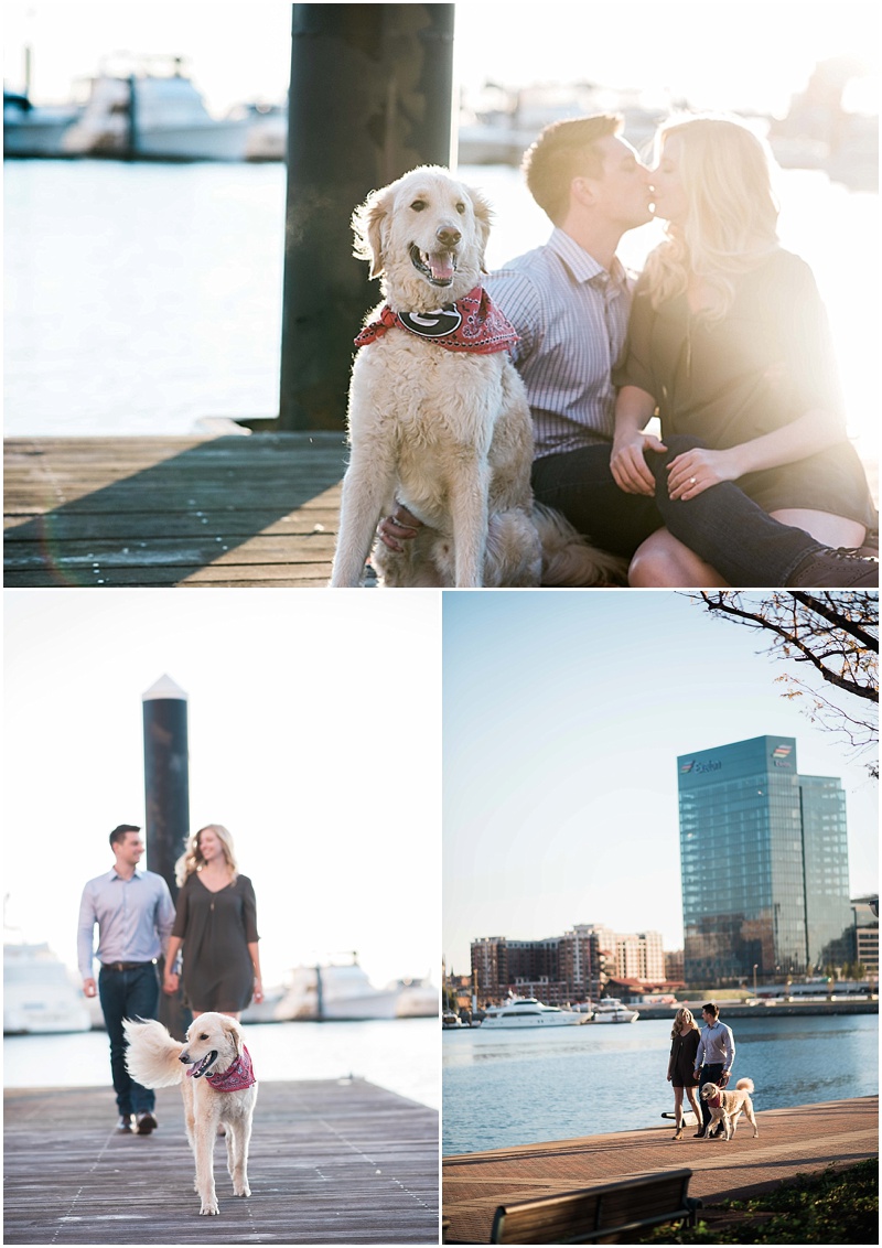 View More: http://shannonensorphotography.pass.us/hailey-taylor
